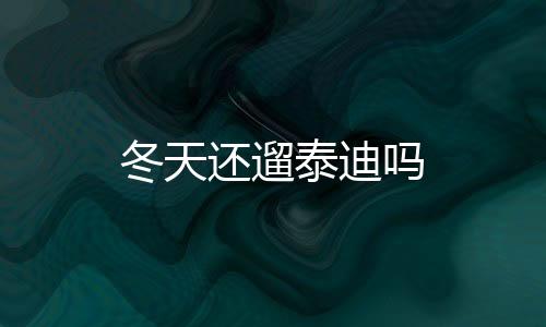 冬天還遛泰迪嗎