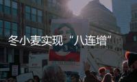 冬小麥實現“八連增” 有助減弱通脹預期