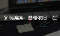 冬雨綿綿，溫暖依舊—在雨中尋找生活的詩意