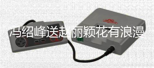 馮紹峰送趙麗穎花有浪漫含義：親愛的跟我走吧