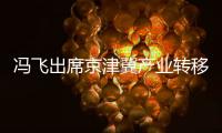 馮飛出席京津冀產業轉移系列對接活動集體見面會