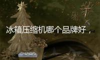 冰箱壓縮機(jī)哪個(gè)品牌好，冰箱壓縮機(jī)品牌推薦