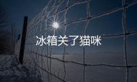 冰箱關了貓咪