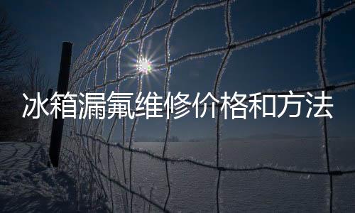 冰箱漏氟維修價格和方法介紹