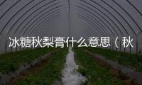冰糖秋梨膏什么意思（秋梨膏什么意思）