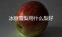 冰糖雪梨用什么梨好