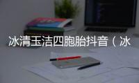 冰清玉潔四胞胎抖音（冰清玉潔四胞胎現狀）