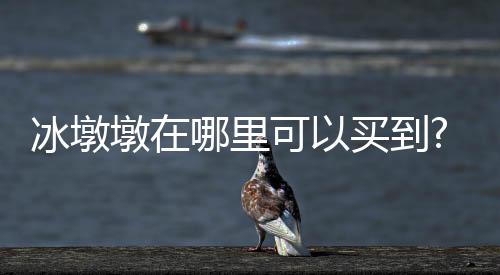 冰墩墩在哪里可以買到?