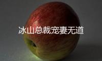 冰山總裁寵妻無道