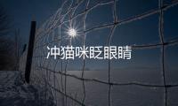 沖貓咪眨眼睛