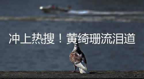 沖上熱搜！黃綺珊流淚道歉