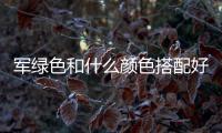 軍綠色和什么顏色搭配好看（軍綠色配什么顏色好看嗎）