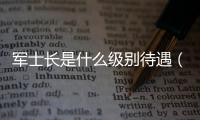 軍士長是什么級別待遇（軍士長是什么軍銜）