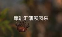 軍訓匯演展風采