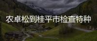 農(nóng)卓松到桂平市檢查特種設(shè)備安全工作