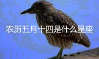 農歷五月十四是什么星座