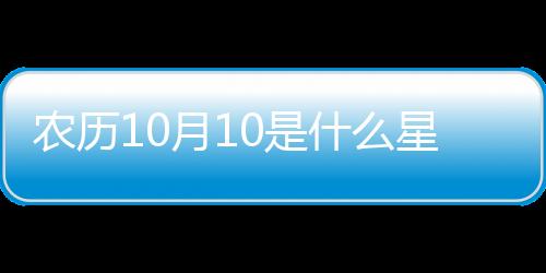 農歷10月10是什么星座