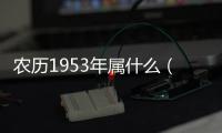 農(nóng)歷1953年屬什么（1953年屬什么）