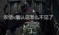 農(nóng)信v盾認證怎么不見了:廣西農(nóng)信v盾證書