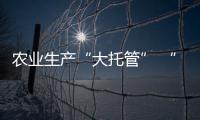 農業生產“大托管” “托”起致富增收路