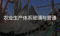 農業生產體系玻璃與普通玻璃差別  鋼化玻璃比平板玻璃硬嗎,行業資訊