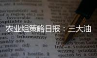 農業組策略日報：三大油脂繼續下跌，馬棕出口預期疲弱