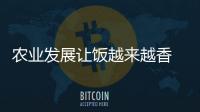 農(nóng)業(yè)發(fā)展讓飯?jiān)絹碓较?研究證明我國大米越來越好吃