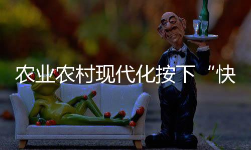 農業農村現代化按下“快進鍵”