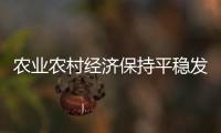 農(nóng)業(yè)農(nóng)村經(jīng)濟(jì)保持平穩(wěn)發(fā)展態(tài)勢(shì)