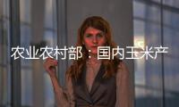 農業農村部：國內玉米產需缺口縮小，進口量大幅增加的可能性不大