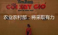 農業農村部：將采取有力措施，確保未來一段時期“菜籃子”市場平穩運行