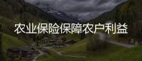 農業保險保障農戶利益