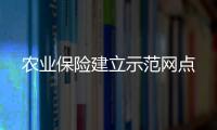農業保險建立示范網點