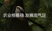 農業根基穩 發展底氣足
