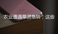 農業遭遇旱澇急轉，這些方法來救場！