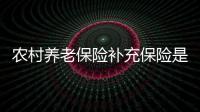農村養老保險補充保險是什么意思