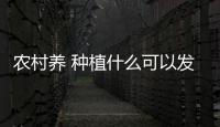 農(nóng)村養(yǎng) 種植什么可以發(fā)家致富