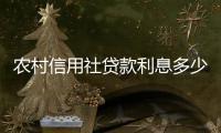 農村信用社貸款利息多少錢（農村信用社貸款利息）