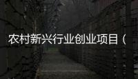 農村新興行業創業項目（新興行業創業項目）