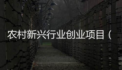 農村新興行業創業項目（新興行業創業項目）