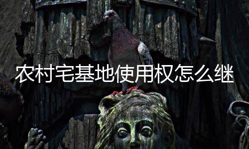 農村宅基地使用權怎么繼承（農村宅基地使用權繼承）