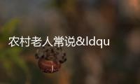 農村老人常說“三寸長壽，四寸無憂”，每晚都失眠的趕緊拿筆記下