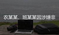 農某某、班某某因涉嫌非法經營罪被批準逮捕