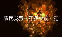 農民黨費一年多少錢（黨費一年多少錢）