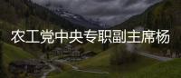 農工黨中央專職副主席楊震調研華西鎮雄醫療對口幫扶項目