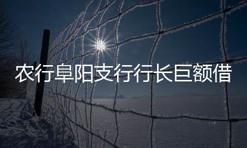 農(nóng)行阜陽(yáng)支行行長(zhǎng)巨額借款去向不明 上級(jí)被免
