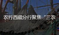 農(nóng)行西藏分行聚焦“三農(nóng)”強(qiáng)化金融服務(wù)