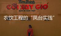 農飲工程的“鳳臺實踐”
