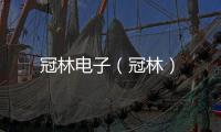 冠林電子（冠林）
