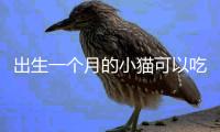 出生一個(gè)月的小貓可以吃什么東西(出生一個(gè)月的小貓眼睛睜不開)